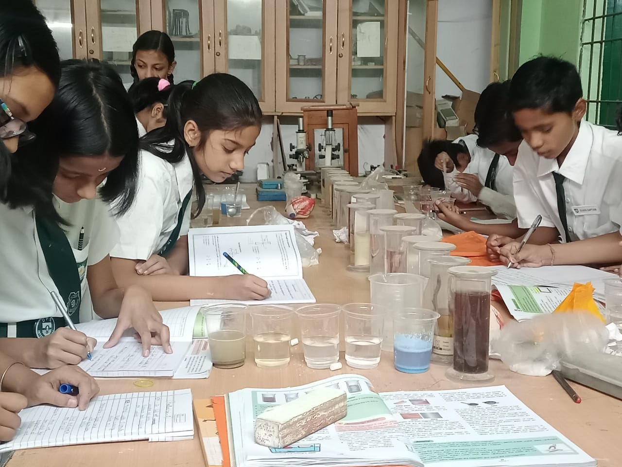 activities curricular laboratory 