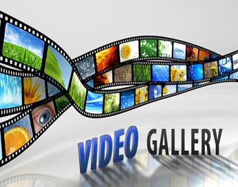 media video gallery dps mithanpura school muzaffarpur bihar